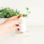 Root Boost Dry Shampoo