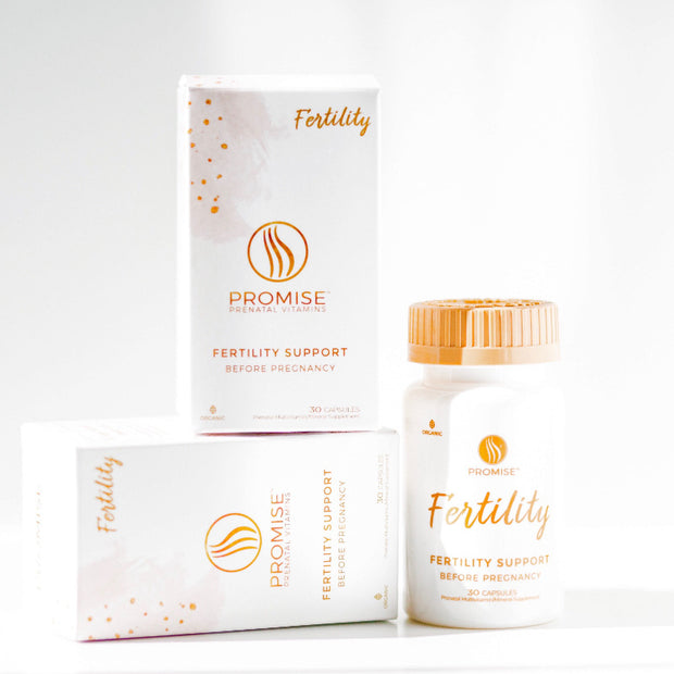 Promise Fertility Support